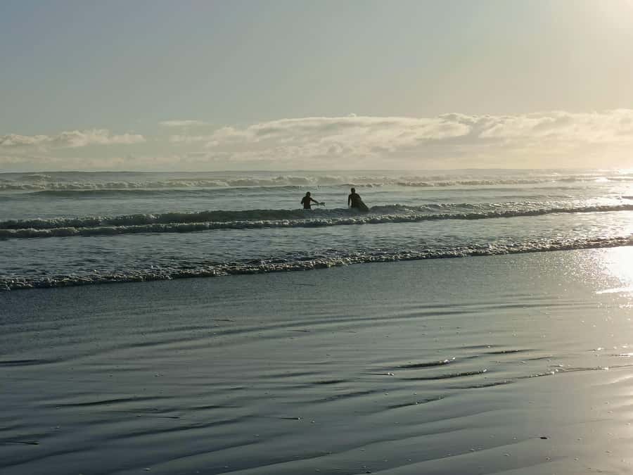 “City & Coast & Country” – A Relaxed Day Tour from Auckland - City-to-coast in 6 hours, without the stress
