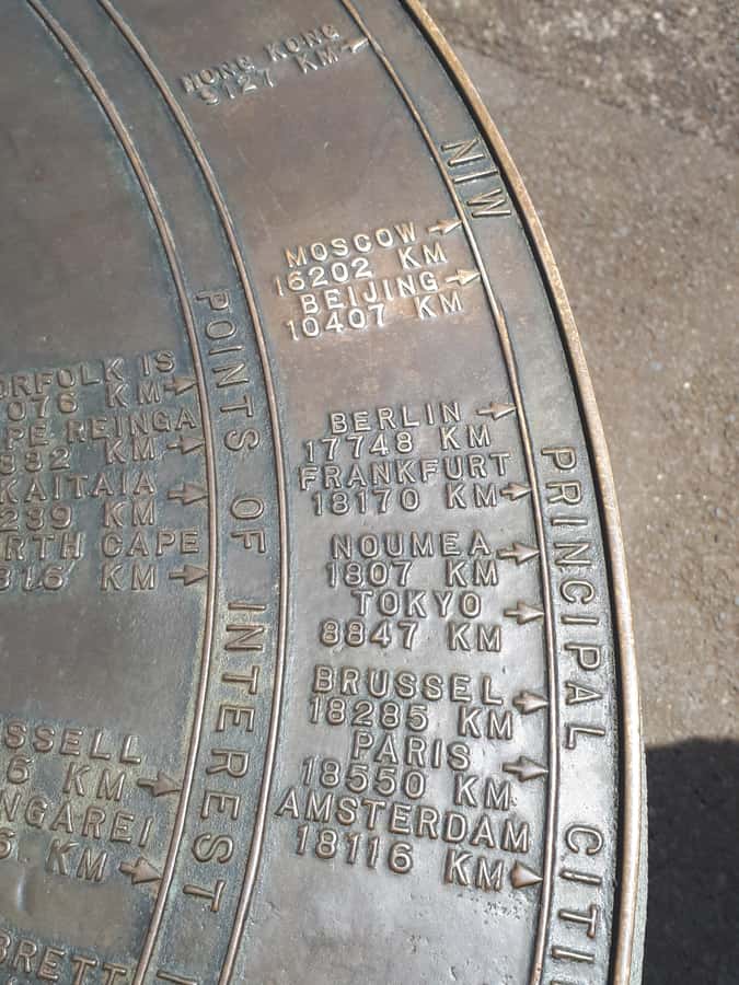 “City & Coast & Country” – A Relaxed Day Tour from Auckland - Arataki Visitor Centre and kauri trees you can actually see