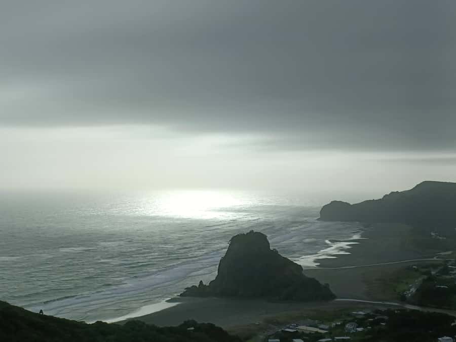 “City & Coast & Country” – A Relaxed Day Tour from Auckland - Muriwai for the black-sand coast, gannets, and big surf