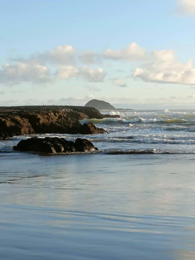 “City & Coast & Country” – A Relaxed Day Tour from Auckland - Kumeū wine region: time to regroup, with optional wine stops
