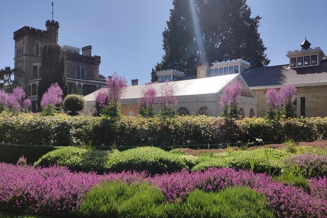 City Highlights, Larnach Castle & Peninsula Views - Key points to know before you go