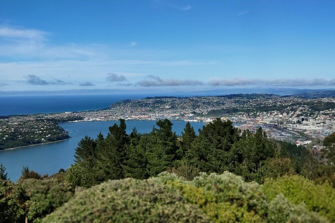 City Highlights, Larnach Castle & Peninsula Views - University of Otago and Dunedin Railway Station: Edwardian architecture with a purpose