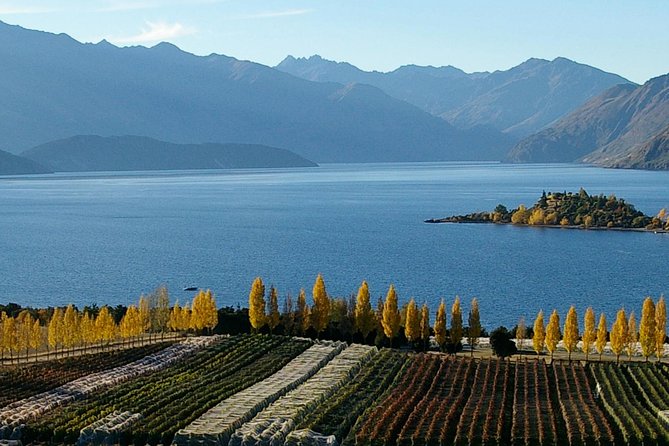 Classic Wanaka Wine Tour - Your guide and the small-group setup that keeps it fun