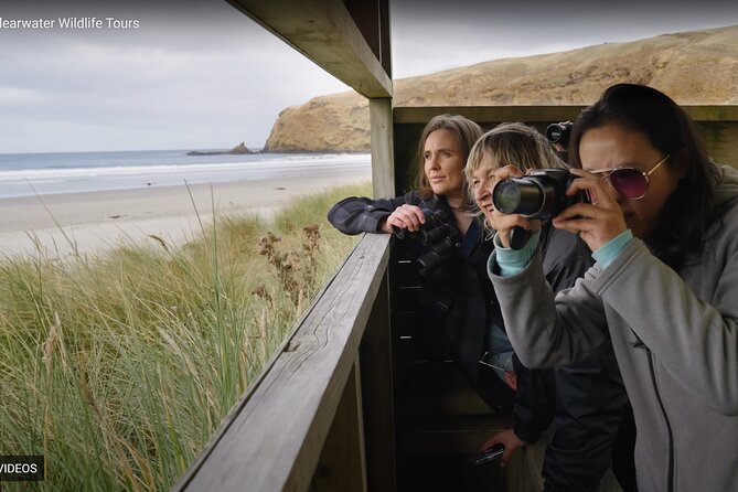 Clearwater Private Penguin & Wildlife Tour from Port Otago (5hrs) - Private wildlife viewing on Otago Peninsula, why it works