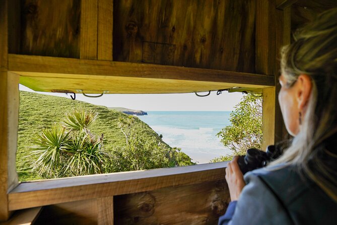 Clearwater Private Penguin & Wildlife Tour from Port Otago (5hrs) - Comfort perks that make wildlife tours less miserable
