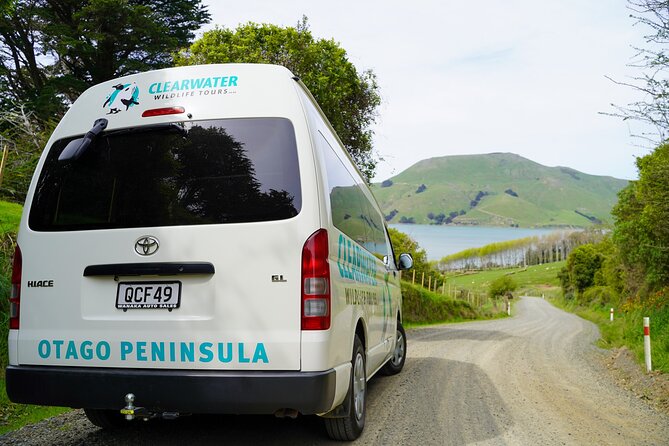 Clearwater Private Penguin & Wildlife Tour from Port Otago (5hrs) - What to wear and how to watch: simple tactics that pay off