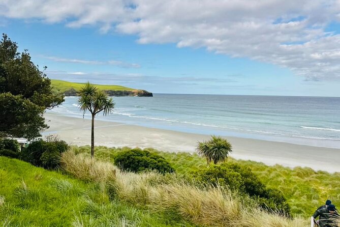 Clearwater Wildlife Tours (small group 10max) Otago Peninsula - Price and value: what $139.63 gets you for 4 hours of private access