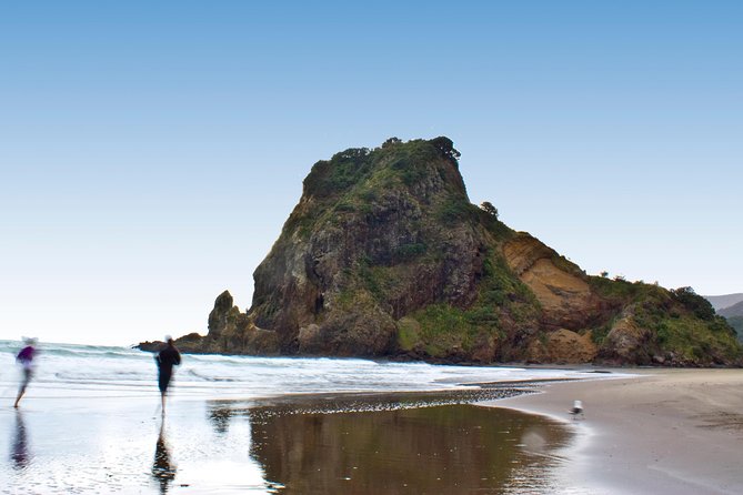 Coast and Rainforest Eco-Tour from Auckland with Picnic Lunch - Waitakere Ranges rainforest walk and giant kauri finish