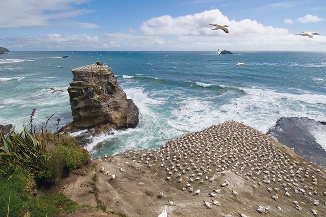 Coast to Coast Private Eco Tour - Key Highlights You’ll Feel Immediately