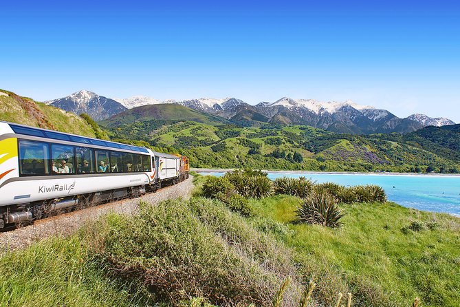Coastal Pacific Train Journey from Picton to Christchurch - Seat Strategy: Get Better Ocean Angles Without Overthinking It