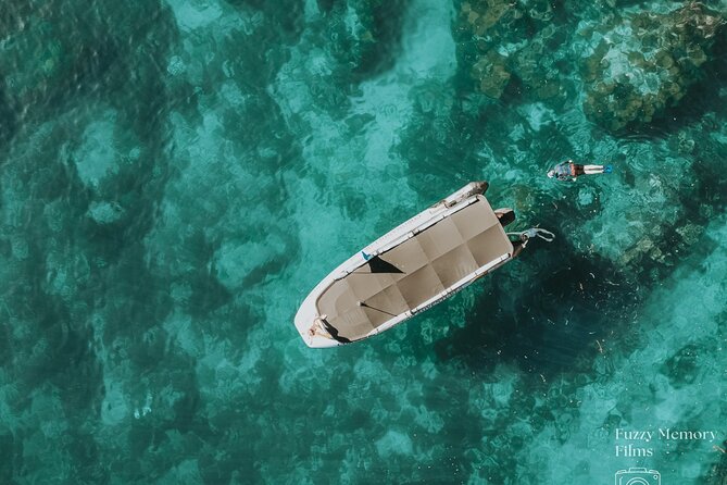 Coromandel Adventure and Wildlife Boat Tour to Aldermen Islands - Key highlights you should know