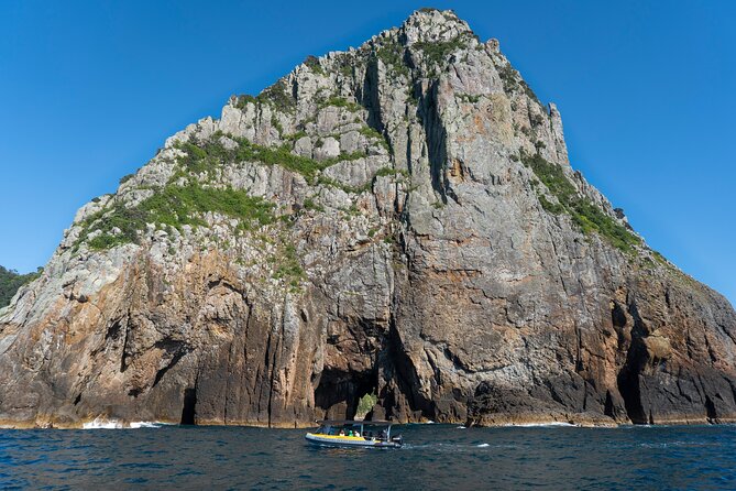 Coromandel Adventure and Wildlife Boat Tour to Aldermen Islands - The Aldermen Islands: Vanishing Volcanoes in real life