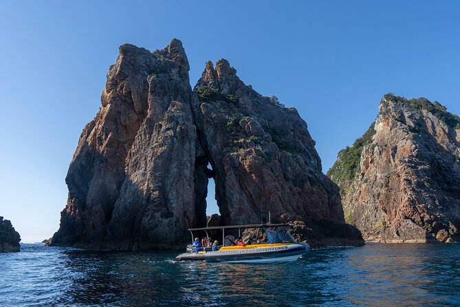 Coromandel Adventure and Wildlife Boat Tour to Aldermen Islands - Snorkelling on the day: when it’s available and how to plan