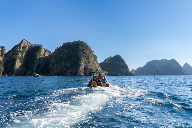 Coromandel Adventure and Wildlife Boat Tour to Aldermen Islands - Guide energy and group size: what makes it feel smooth