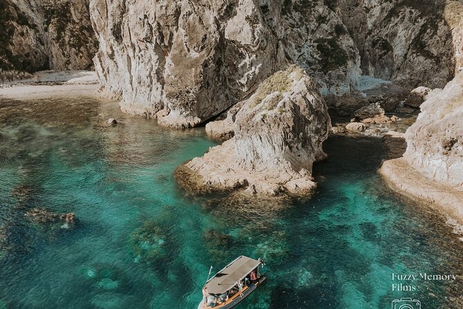 Coromandel Adventure and Wildlife Boat Tour to Aldermen Islands - Price and value: what $102.39 gets you