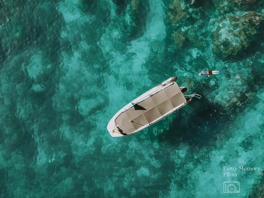 Coromandel: Aldermen Islands Marine Reserve Wildlife Cruise - Key Highlights Worth Booking For