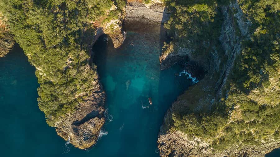 Coromandel: Aldermen Islands Marine Reserve Wildlife Cruise - Aldermen Islands Marine Reserve: why this Coromandel outing feels rare