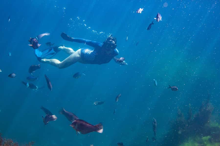 Coromandel: Aldermen Islands Marine Reserve Wildlife Cruise - Who this tour fits best, and who should skip it