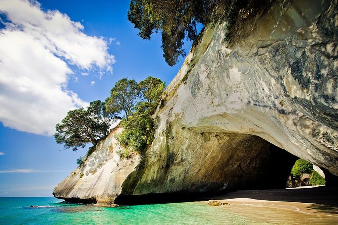 Coromandel Coastal Experience - Small Group Tour from Auckland - Meeting at 7:00 am, and how the drive sets the mood