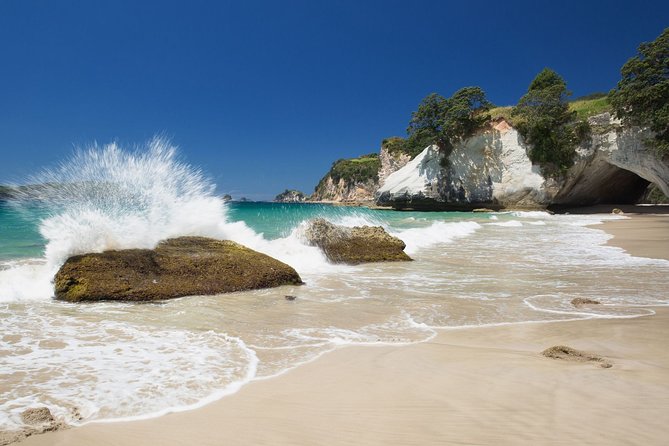 Coromandel Coastal Experience - Small Group Tour from Auckland - The guide and small-group feel, why it actually matters