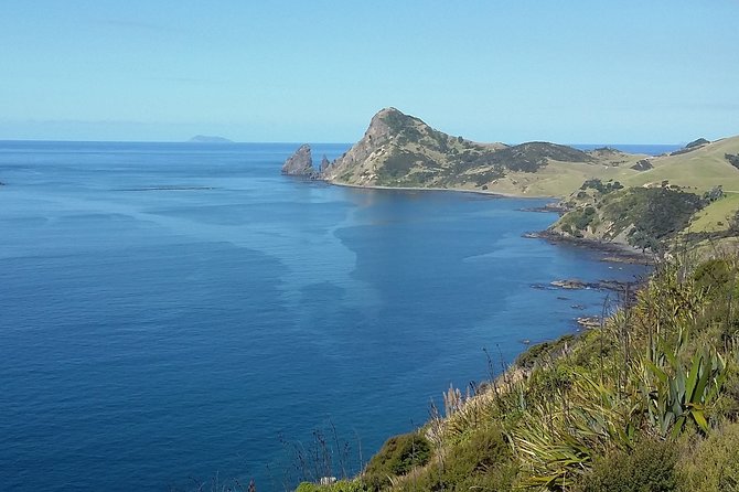 Coromandel Coastal Experience - Small Group Tour from Auckland - Scenic stops around the Firth of Thames and Hauraki Gulf