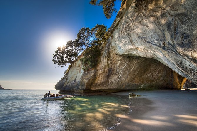 Coromandel Coastal Experience - Small Group Tour from Auckland - Comfort, timing, and what to pack for a smoother day