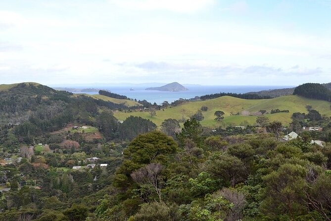 Coromandel Day Tour From Auckland - Food, pace, and comfort on a full 12-hour day