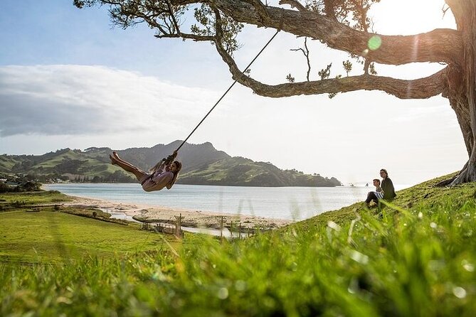 Coromandel Day Tour From Auckland - Who should book this Coromandel day tour (and who should pass)