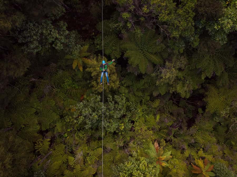 Coromandel: Guided Zipline Tour Experience - First stop: getting into the Coromandel forest by mountain railway