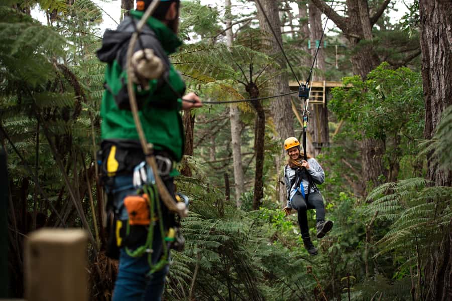 Coromandel: Guided Zipline Tour Experience - Flying the canopy: what 8 ziplines feels like from platform height