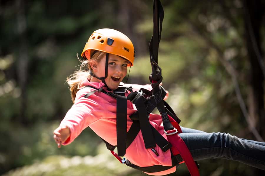 Coromandel: Guided Zipline Tour Experience - The forest story: from kauri logging and gold mining to regenerating kauri