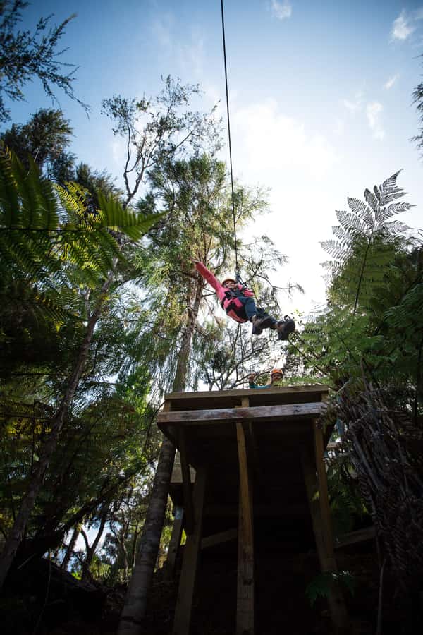 Coromandel: Guided Zipline Tour Experience - Photos, timing, and pacing for a 150-minute adventure
