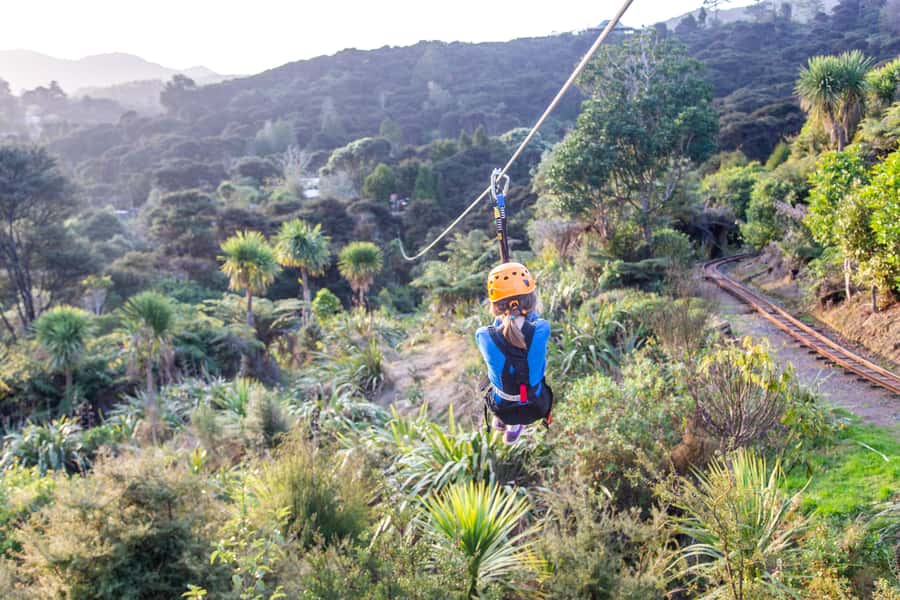 Coromandel: Guided Zipline Tour Experience - What your ticket supports in Coromandel
