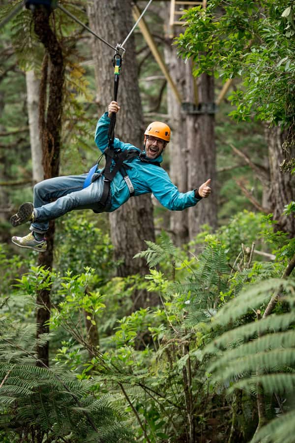 Coromandel: Guided Zipline Tour Experience - Price and value: is $87 per person worth it?