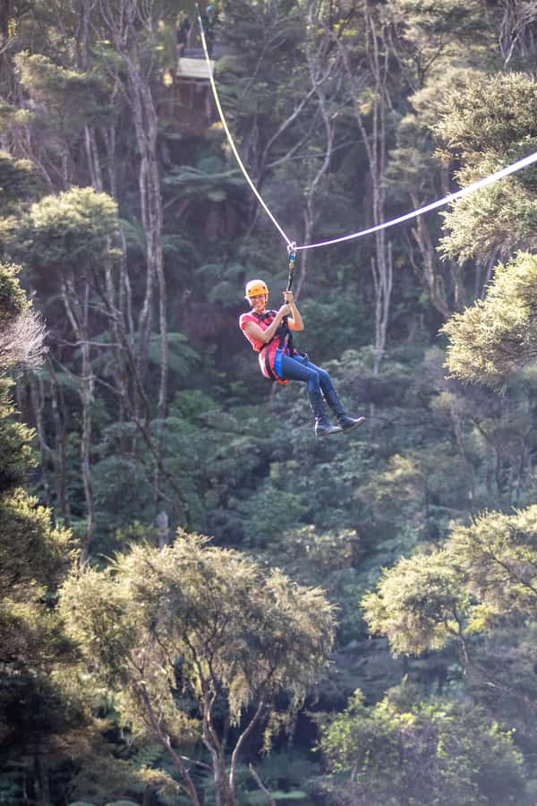 Coromandel: Guided Zipline Tour Experience - Who should book, and who should skip this zipline day