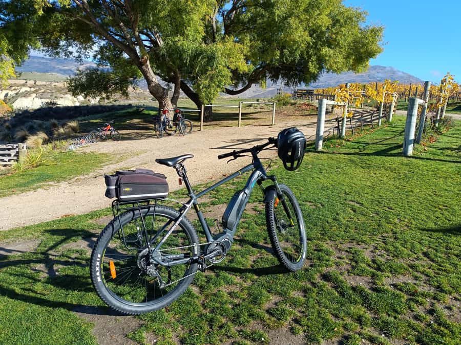 Cromwell: Lake Dunstan Trail Bike Rental and Luxury Shuttle - The shuttle back to Cromwell: return logistics that feel like a treat