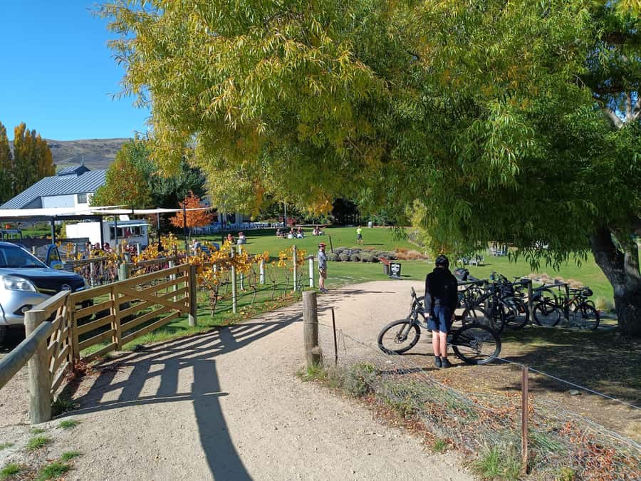 Cromwell: Lake Dunstan Trail Bike Rental and Luxury Shuttle - Bikes, helmets, and repair kit: what’s included and why it matters