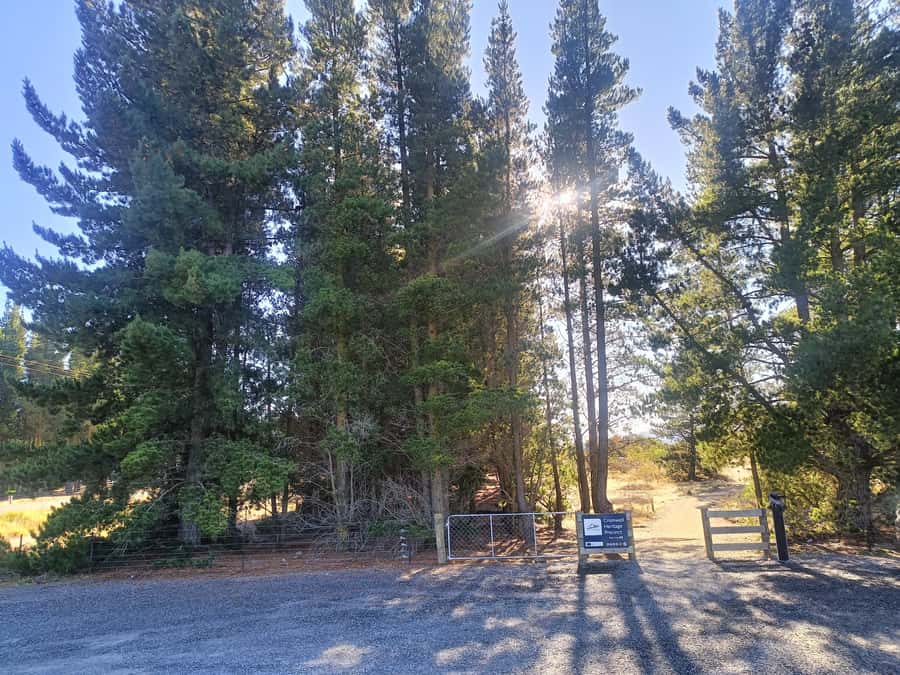 Cromwell: Lake Dunstan Trail Bike Rental and Luxury Shuttle - Who this ride suits best, and who should skip it