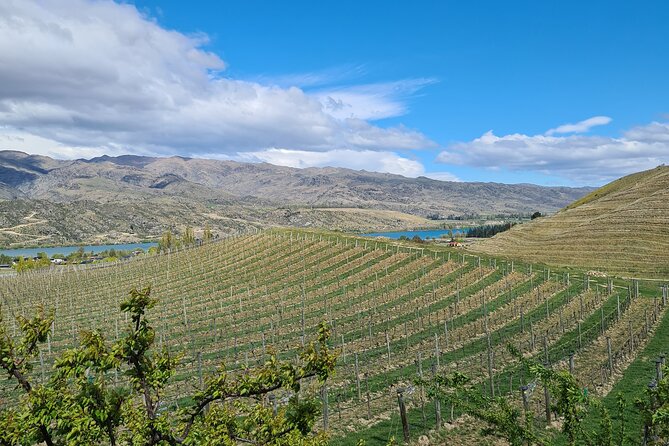 Cromwell Wine Tasting Tour using Classic Car - Stop in Central Otago: scenery and tastings, without the rush