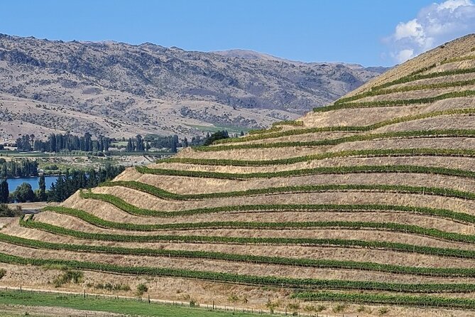 Cromwell Wine Tasting Tour using Classic Car - Transport and comfort details you will actually feel