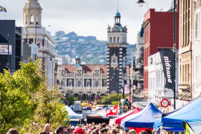 Cruise Dunedin City and Castle Tour - Cruise-Day Timing: Getting from Port Chalmers to Dunedin Smoothly
