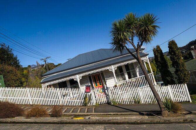 Cruise Dunedin City and Castle Tour - The Otago Peninsula Drive: Big Views, Short Timing, Good Planning