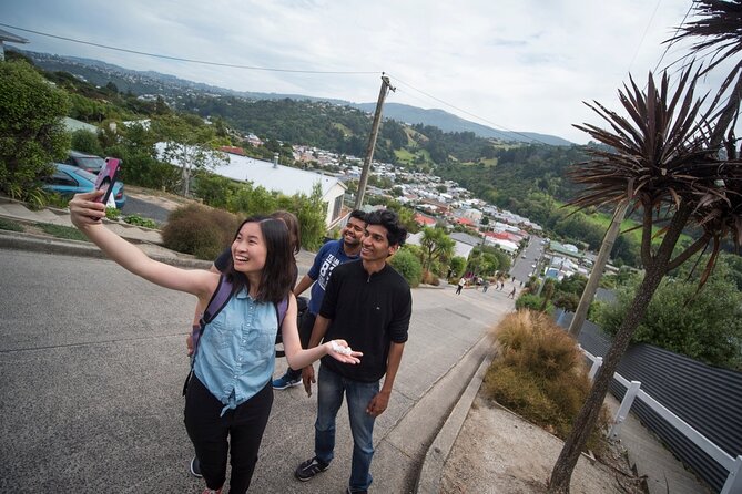 Cruise Dunedin City and Castle Tour - Larnach Castle & Gardens: Self-Guided 1 Hour 30 Minutes You Can Actually Use