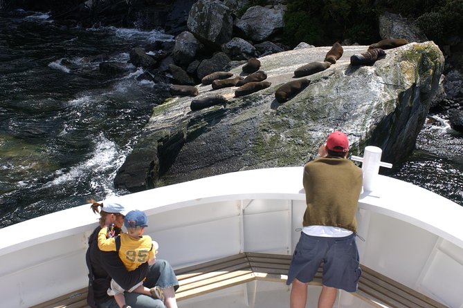 Cruise Milford NZ Small Boutique Cruise Experience - What onboard comfort looks like on a half-full boat