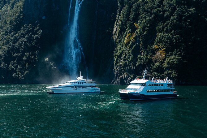 Cruise Milford NZ Small Boutique Cruise Experience - Price and value: what $111.08 buys you in real terms