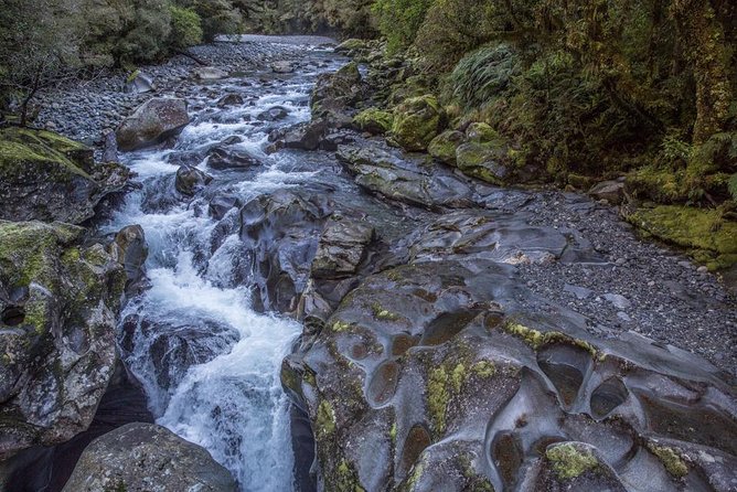 Cruise Milford Small Group Day Tour from Queenstown - Te Anau Break, then Pops View Lookout on the Return