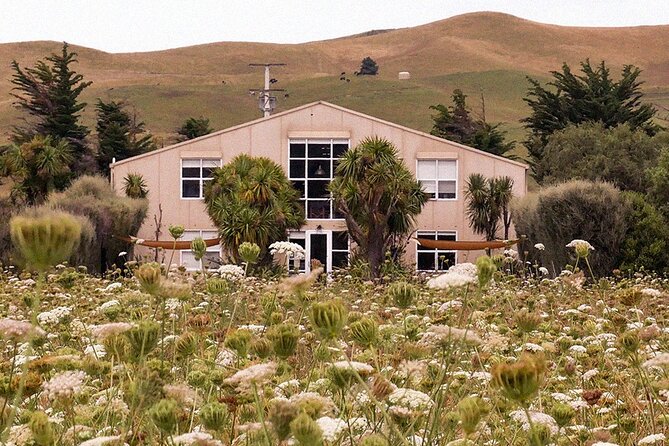CRUISE SHIP DAY LYTTELTON Hop On Hop Off Wine Tours to Waipara - The Waipara tasting core: Pegasus Bay, Waipara Winehouse, The Bone Line, Georges Road