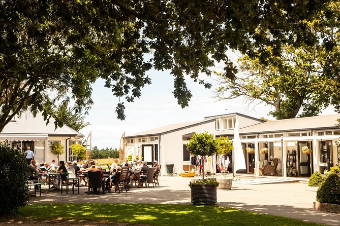 CRUISE SHIP DAY LYTTELTON Hop On Hop Off Wine Tours to Waipara - Price and value for an $80.36 Waipara wine day