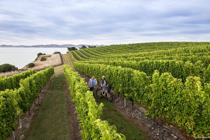 CRUISE SHIP DAY Marlborough Hop On Hop Off Wine Tours - How the hop-on loop really works: planning 3 to 5 stops