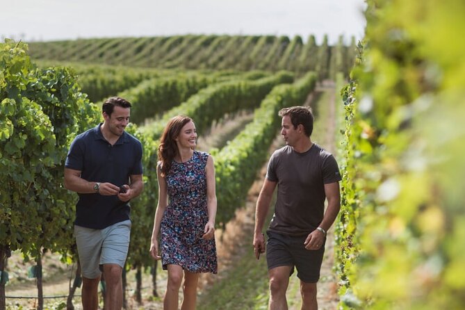 CRUISE SHIP DAY Marlborough Hop On Hop Off Wine Tours - Tastings and lunch: how to avoid the common frustration